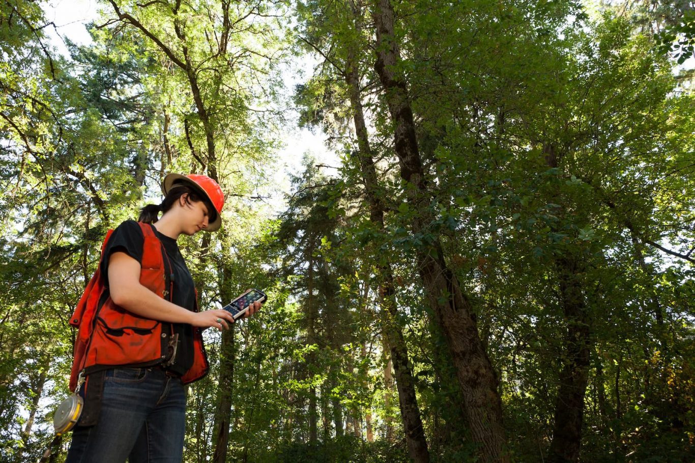Handheld Nautiz X8 Rugged IP67 Forestry